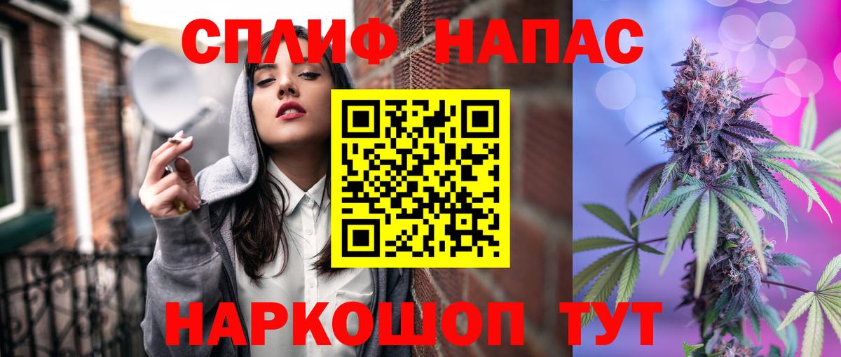 МАРИХУАНА план Елизово